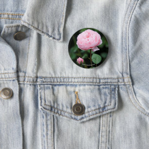 Alnwick Castle Rose 6 Cm Round Badge