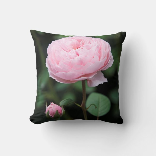 Alnwick Castle Rose Cushion (Front)