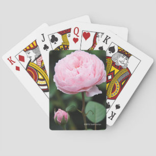 Alnwick Castle Rose Playing Cards