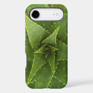 Aloe