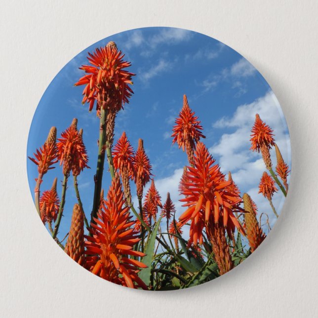Aloe Arborescens button (Front)