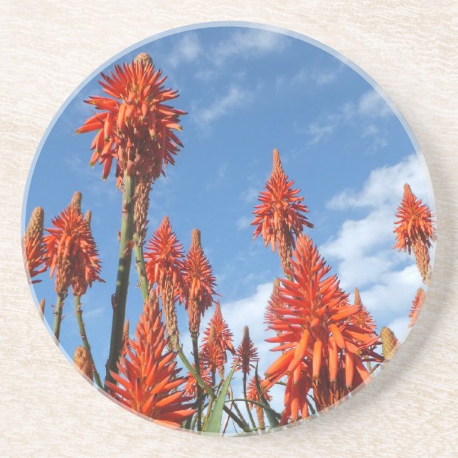 Aloe Arborescens coaster (Front)