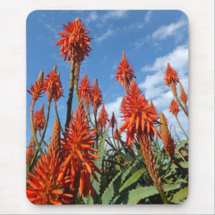 Aloe Arborescens mousepad