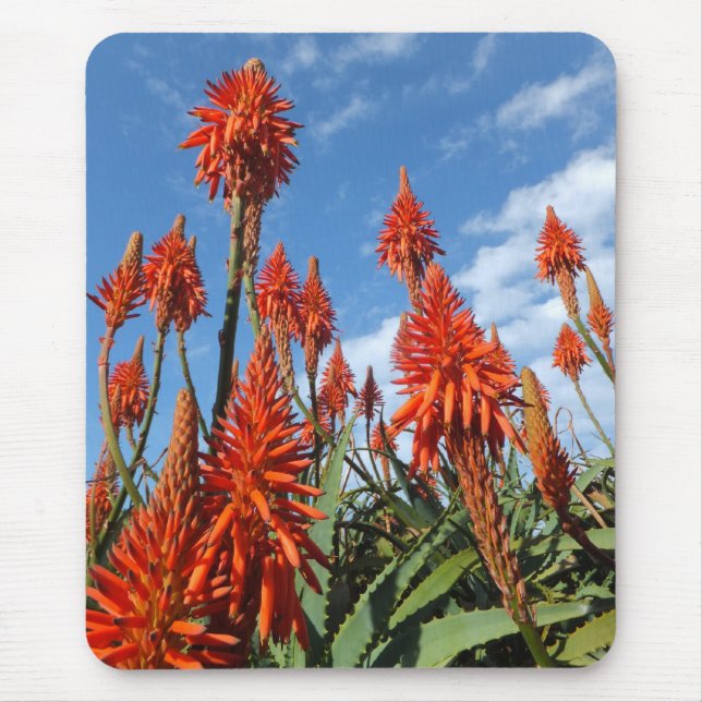 Aloe Arborescens mousepad (Front)
