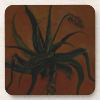Aloe Coaster