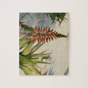 Aloe Flower Blossom  Photo Puzzle with Gift Box
