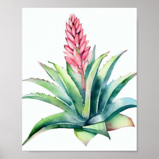 Aloe in bloom poster