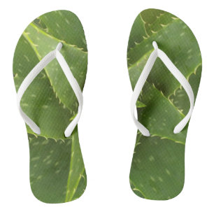 Aloe Jandals