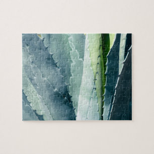 Aloe Jigsaw Puzzle