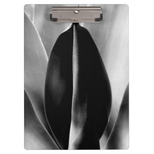 Aloe - Macro Fine Art Photograph in Black & White Clipboard