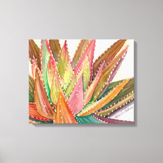Aloe nobilis watercolor by Debra Lee Baldwin Canvas Print
