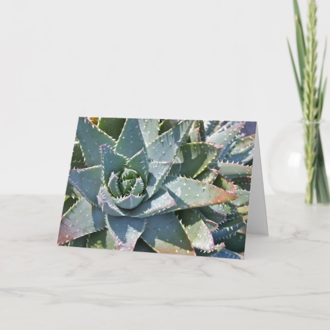 Aloe note card by Debra Lee Baldwin (Front)