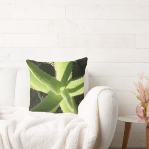 Aloe Plant Cushion