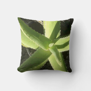 Aloe Plant Cushion
