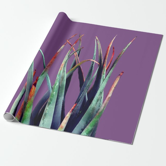 ALoe Plant Photo  Wrapping Paper (Unrolled)