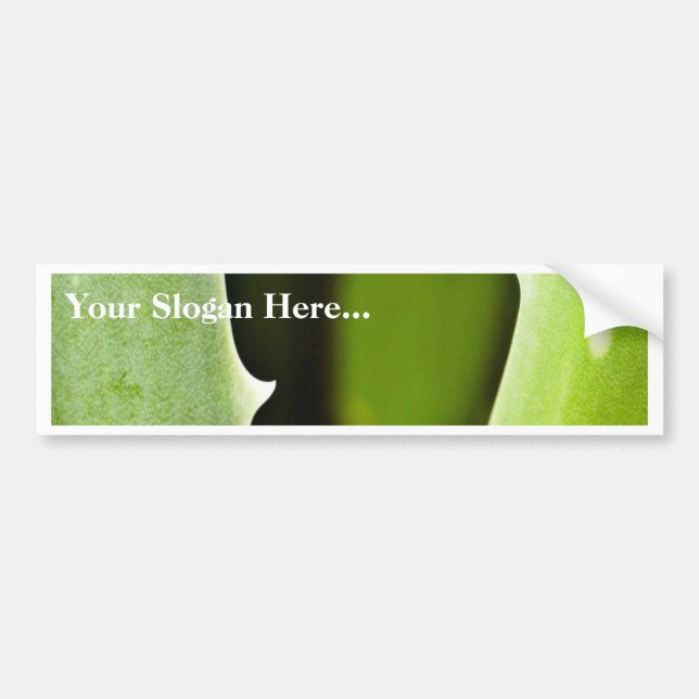Aloe Vera Bumper Sticker (Front)