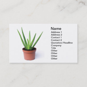 Aloe Vera Business Card