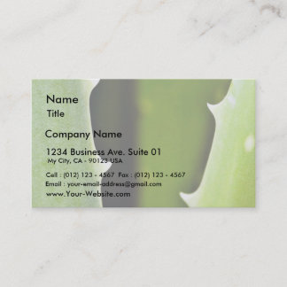 Aloe Vera Business Card