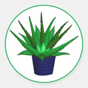 Aloe Vera Hand Drawn Houseplant Art   Classic Round Sticker