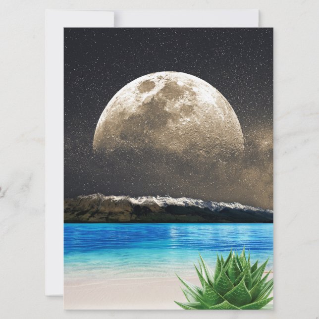 Aloe Vera Moon Beach (Front)