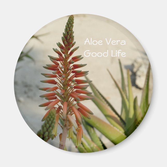 Aloe Vera plant flower Button Magnet (Front)