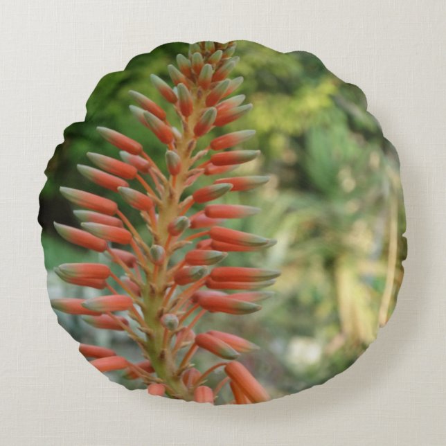 Aloe Vera Plant Photo Round  Cushion (Front)