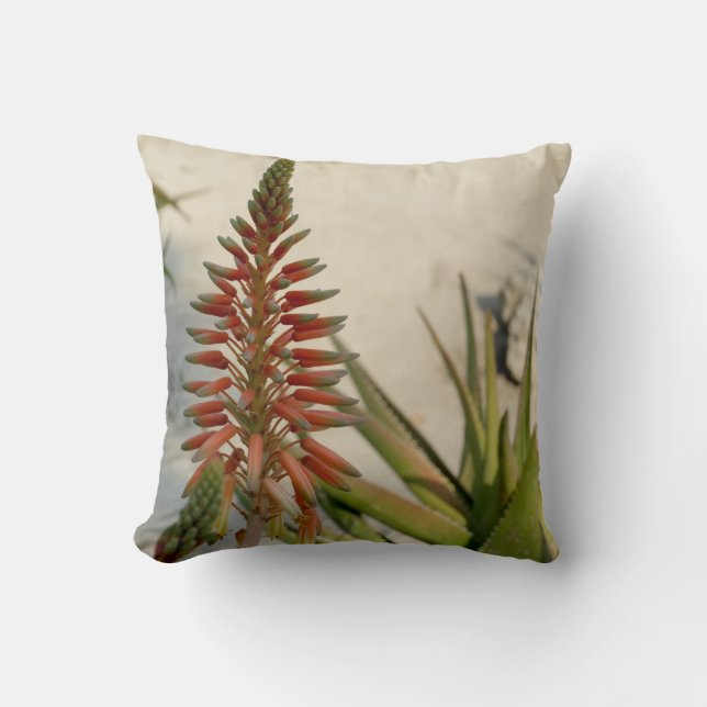 Aloe Vera Plant Photo Throw Cushion 41 cm x 41 cm (Front)