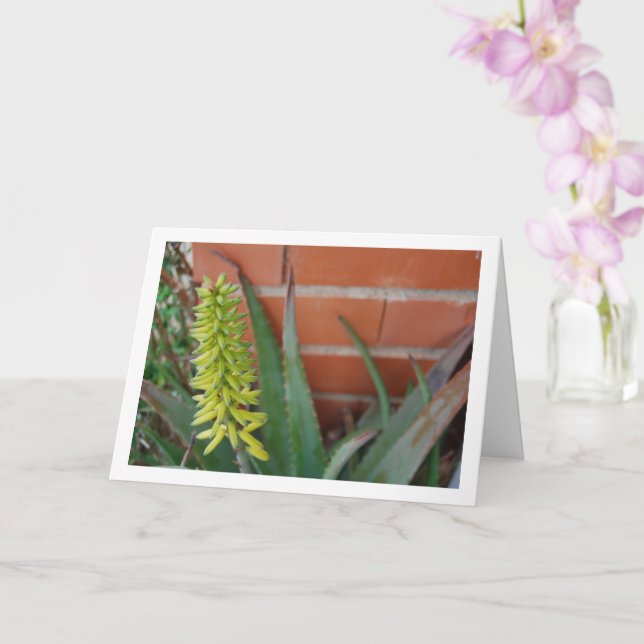 Aloe Vera Plant with Flower Head Card (Orchid)