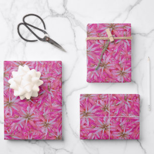 Aloe vera red plant motif intricate pattern wrapping paper sheet