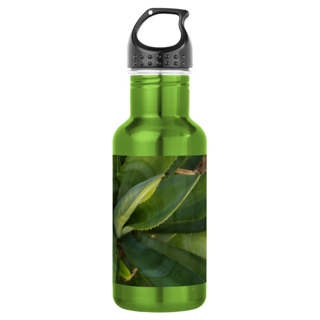 Aloe Vera Water Bottle (Front)