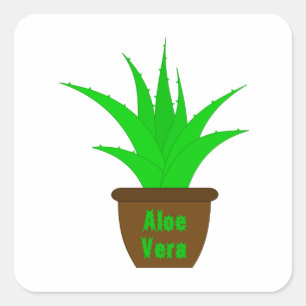 Aloe Vera with a Label