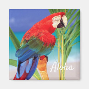 Aloha Bird Magnet