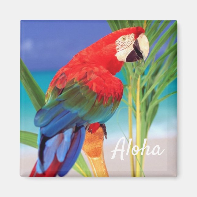 Aloha Bird Magnet (Front)