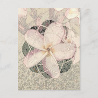 Aloha Blossom Postcard