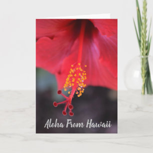 Aloha From Hawaii Card