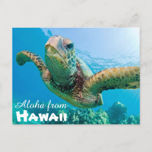Aloha from Hawaii Honu Green Sea Turtle Postcard
