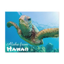 Aloha from Hawaii Honu Green Sea Turtle