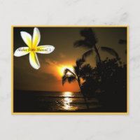 Aloha from Hawaii Plumeria Sunset