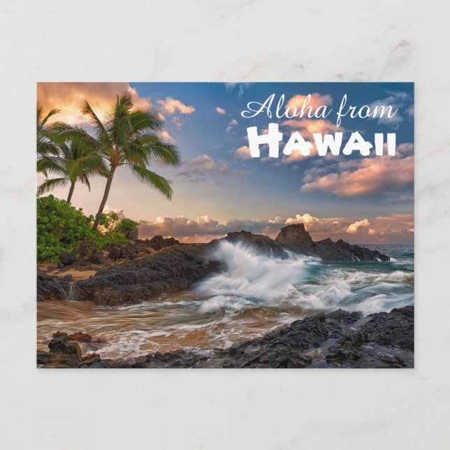 Aloha from Hawaii Postcard (Front)