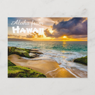 Aloha from Hawaii Postcard