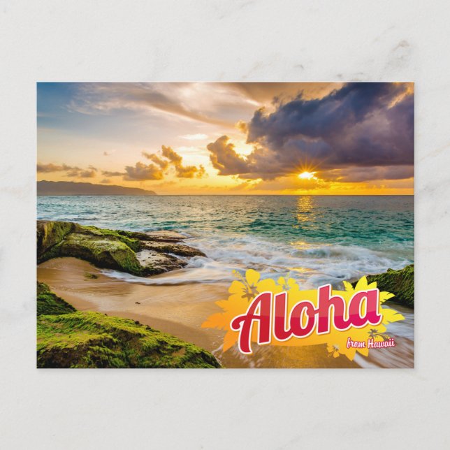Aloha from Hawaii Postcard (Front)