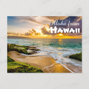 Aloha from Hawaii Postcard