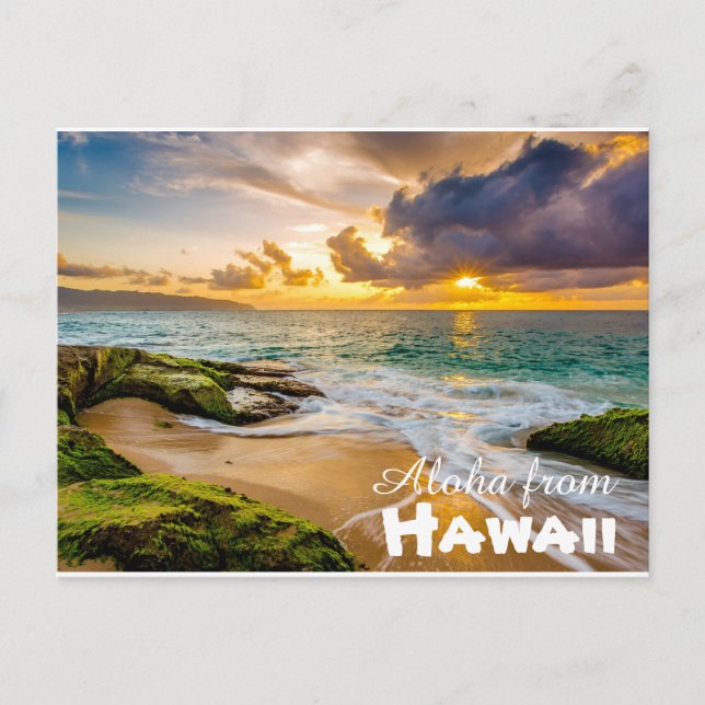 Aloha from Hawaii Postcard (Front)