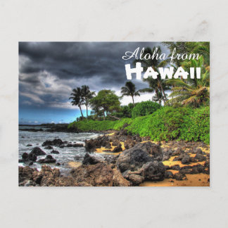 Aloha from Hawaii Postcard