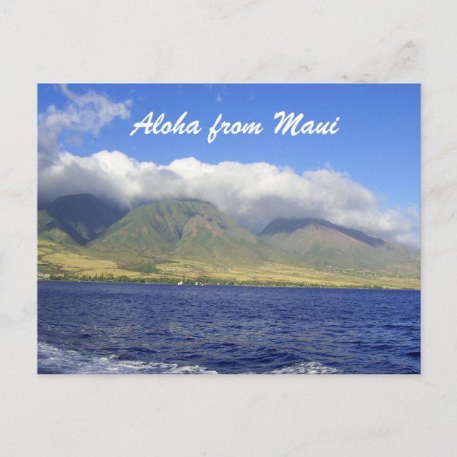 Aloha from Maui Hawaii Postcard (Front)