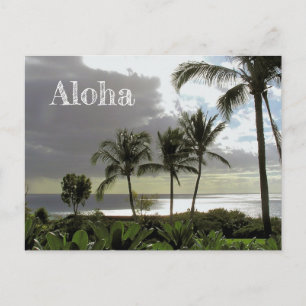 "ALOHA FROM MAUI" POSTCARD