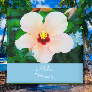 Aloha Hawaii Peach Color Hibiscus Magnet