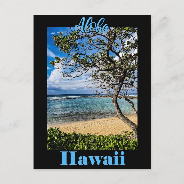 Aloha Hawaii travel poster Postcard (Front)