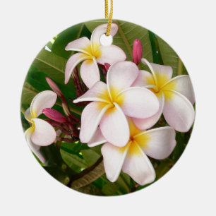 Aloha Hawaiian Frangipani Blossoms Plumerias Ceramic Tree Decoration
