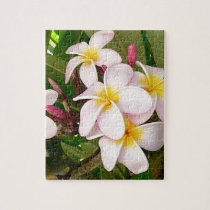 Aloha Hawaiian Frangipani Blossoms Plumerias Jigsaw Puzzle